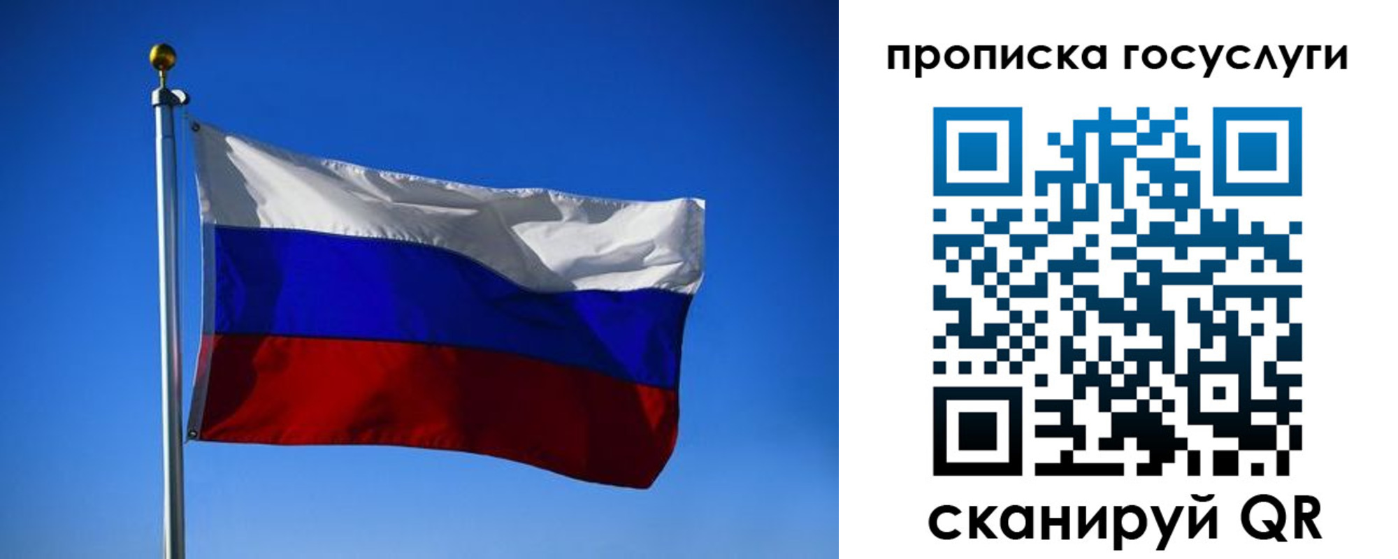 временная регистрация госуслуги в Елизово